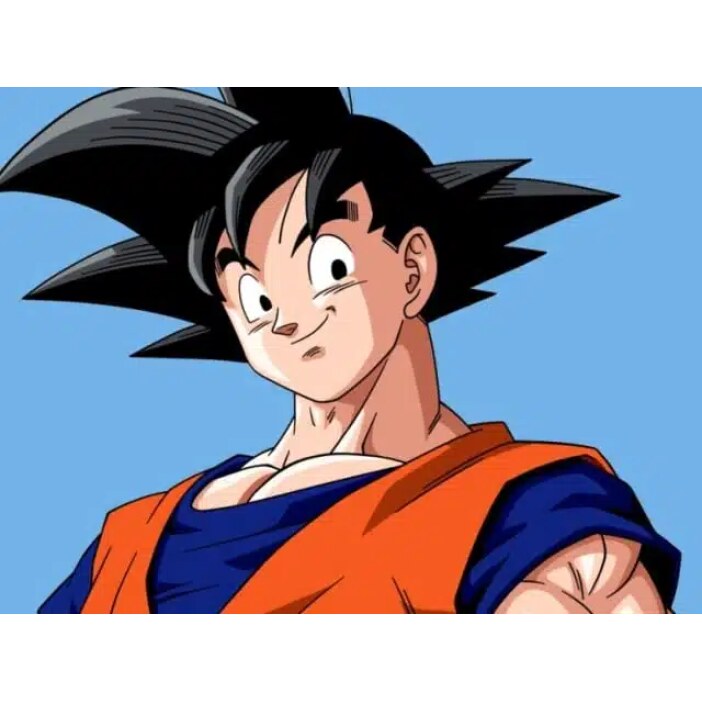 Tableau Son goku invocation d’attaque Tableau Geek Tableau Dragon Ball Z couleur: Multicolore
