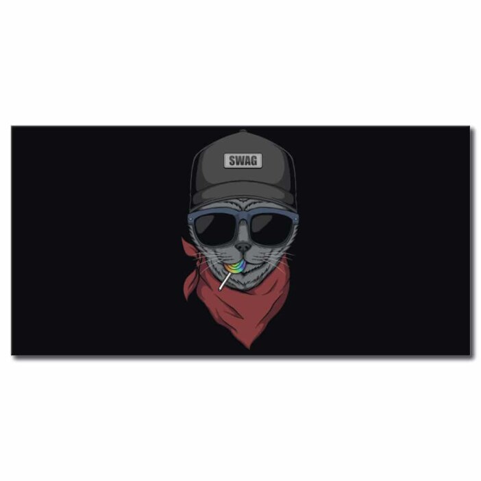 Tableau Swag chat horizontal Tableau Animaux Tableau Chat taille: XXS