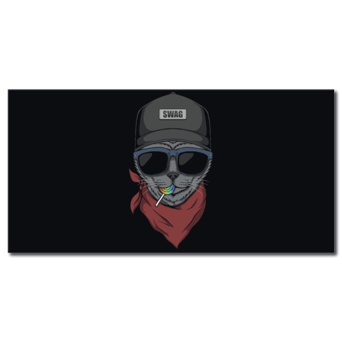 Tableau Swag chat horizontal Tableau Animaux Tableau Chat