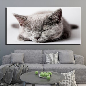 Tableau chaton qui dort Tableau Chat Tableau Animaux taille: XXS