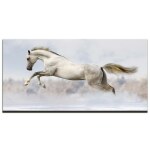 Tableau cheval blanc