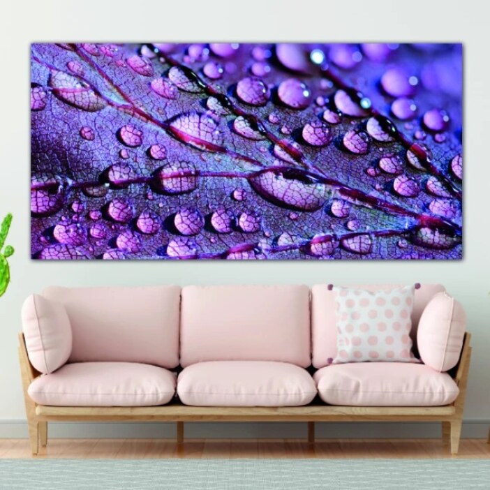 Tableau Feuille artistique entre des gouttes d'eau. Bonne qualité, original, accrochée sur un mur au dessus d'un canapé dans un salon