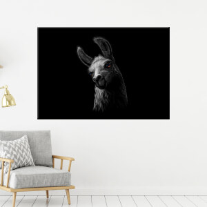 Tableau illustration lama fond noir. Bonne qualité, original, accrochée sur un mur au dessus d'une chaise dans un salon