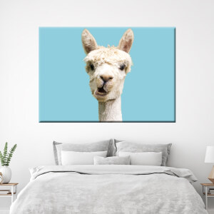 tableau lama dans une chambre
