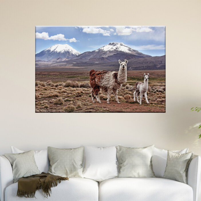 Tableau maman lama et son petit en Bolivie. Bonne qualité, original, accrochée sur un mur au dessus d'un canapé dans un salon