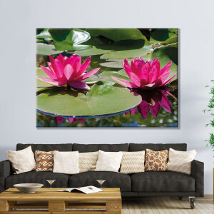 Tableau nénuphars en fleur. Bonne qualité, original, accrochée sur un mur au dessus d'un canapé dans une maison