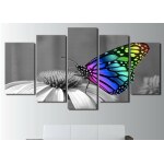 Tableau papillon multicolore sur fond noir et blanc
