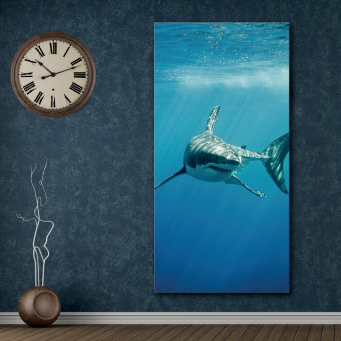 Tableau requin blanc Tableau Animaux Tableau Requin