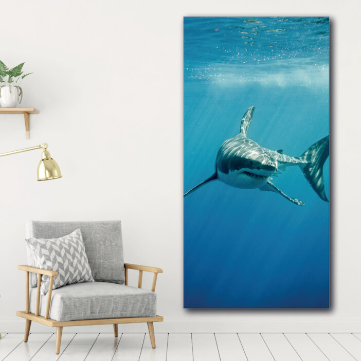 Tableau requin blanc Tableau Animaux Tableau Requin
