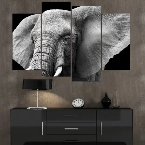 Tableau tête d’éléphant noir et blanc
