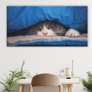 Tableau chat se cachant. Bonne qualité, original, accrochée sur un mur au dessus d'une table dans un salon