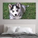 Tableau chiot Husky. Bonne qualité, original, accrochée sur un mur au dessus d'un canapé dans une maison
