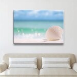 Tableau coquillage dans le sable. Bonne qualité, original, accrochée sur un mur au-dessus d'un canapé dans une maison