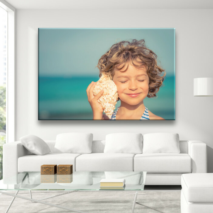 Tableau coquillage enfant avec buccin. Bonne qualité, original, accroché sur le mur au-dessus d'un canapé dans une maison