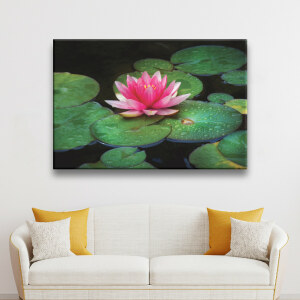 Tableau Nénuphar rose dans le lac. Bonne qualité, original, accrochée sur un mur au-dessus d'un canapé d'une maison