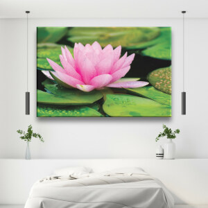 Tableau Nénuphar rose sous la pluie. Bonne qualité, original, accrochée sur un mur dans une maison