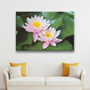 Tableau Nénuphar sous le soleil. Bonne qualité, original, accrochée sur un mur au-dessus d'un canapé dans une maison.