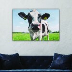 Tableau tête de vache. Bonne qualité, original, accrochée sur un mur au dessus d'un canapé dans un salon