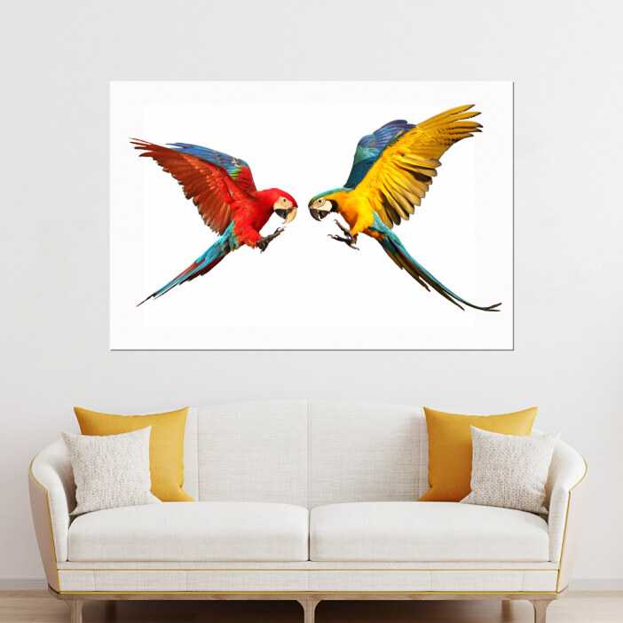 tableau-deux-perroquets-prdt-2-jpg deux perroquets s'envolant l'un vers l'autre