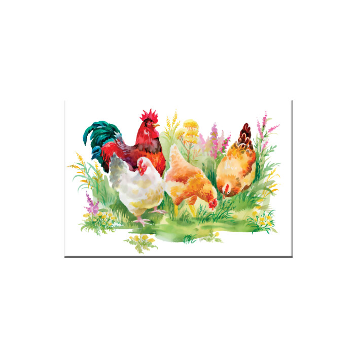 tableau de poule sur fond blanc